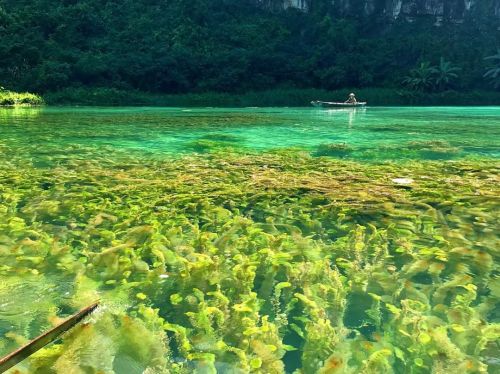 Hoa Lư - Tam Coc Full Day